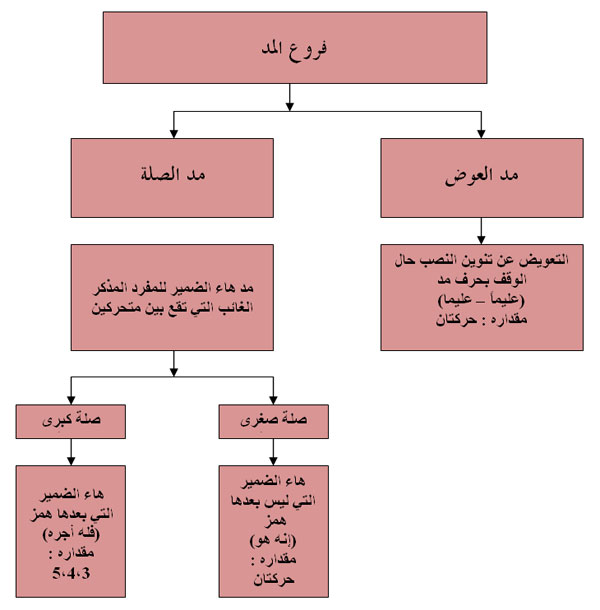 يأتي المد اللازم الكلمي من كلمة، ومن كلمتين