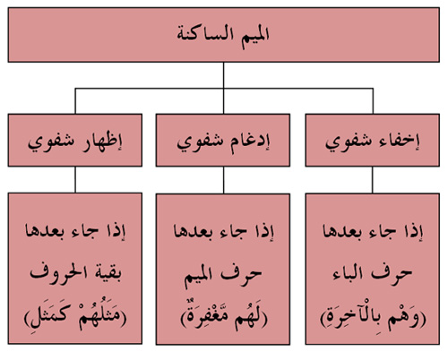 الميسر لأحكام التجويد :: جمعية القرآن الكريم للتوجيه والإرشاد - بيروت -  لبنان