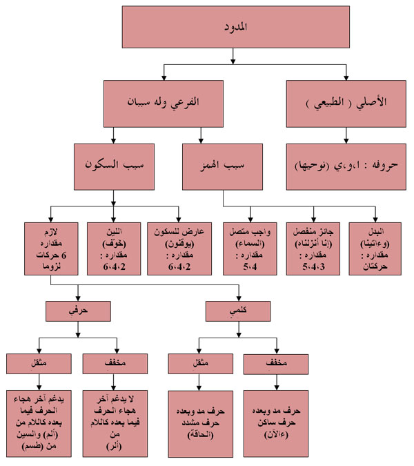 المراد بالمد المنفصل