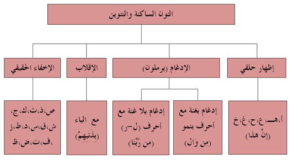 من القرانيه بعد الكلمه حكم ما ما حكم